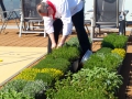 Viking chef gathering herbs for dinner from the on-deck herb garden—a feature of all new Viking